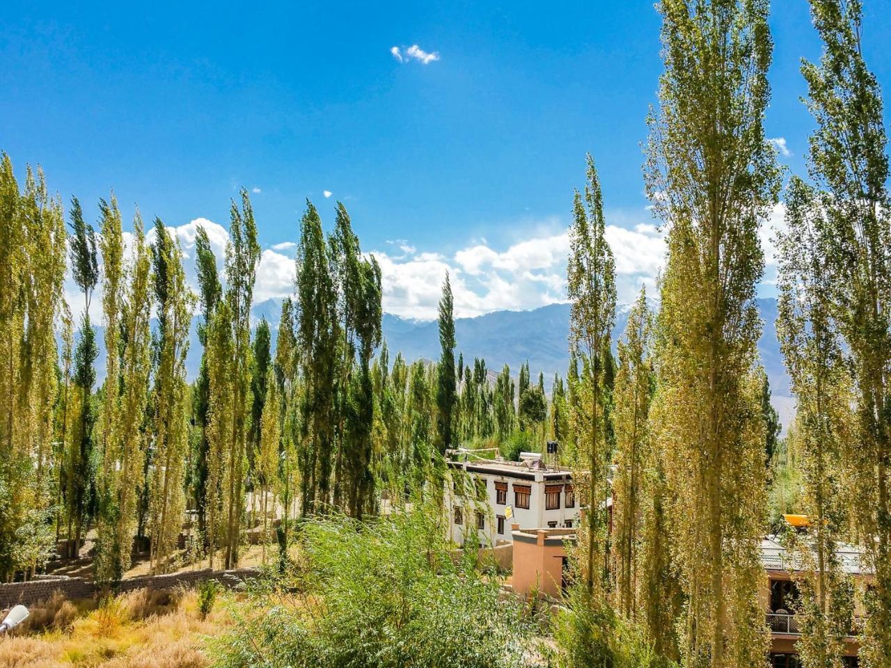 Hotel City Palace Leh Zewnętrze zdjęcie